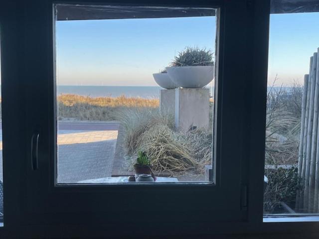 B&B Zeespiegel Zandvoort Luaran gambar